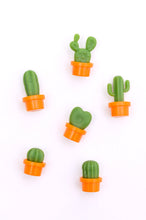 Load image into Gallery viewer, Plant Lover Cacti Magnet Set
